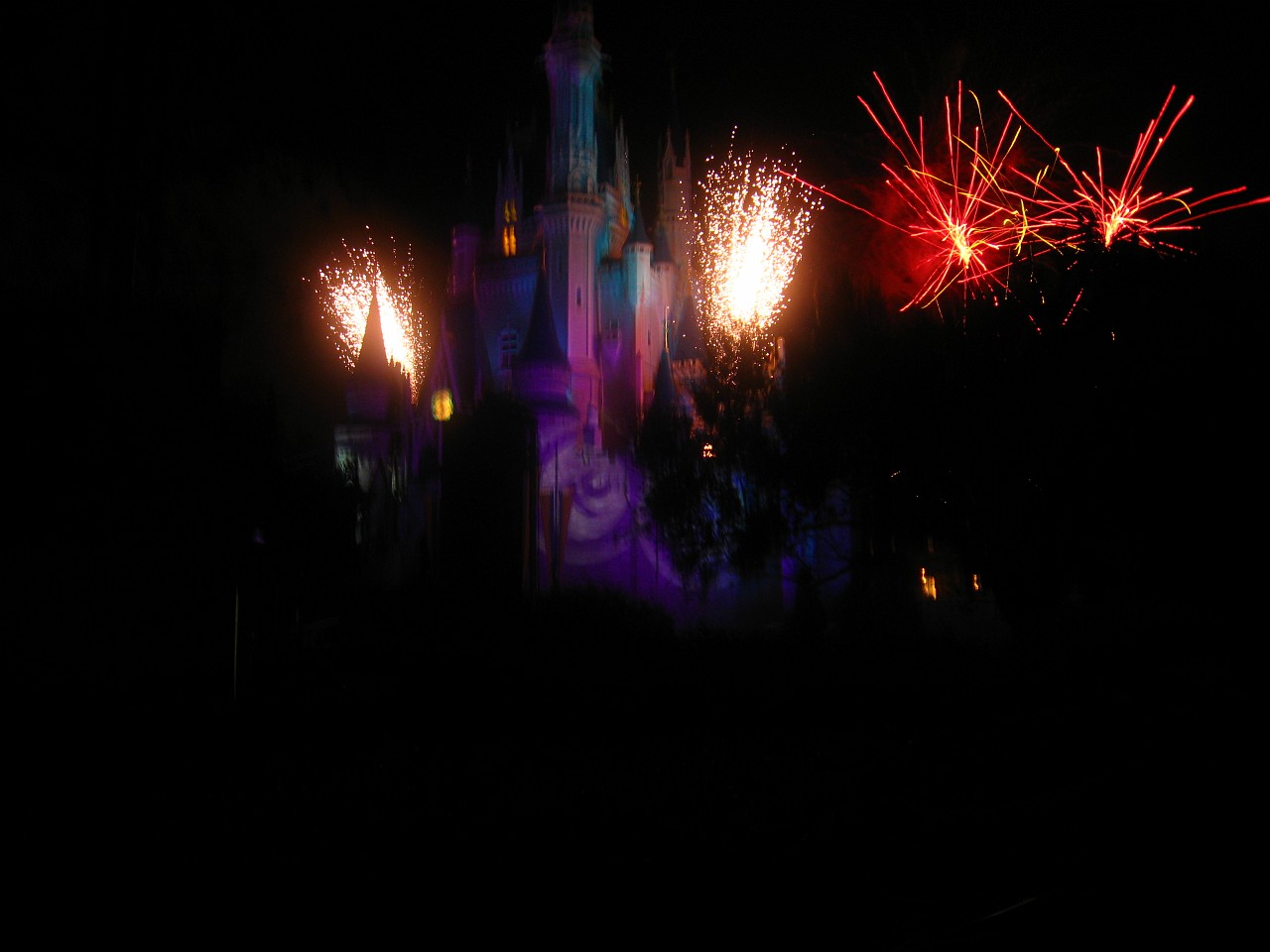 Vacation 2007-12 - Disney Parks  1000.jpg - The 2007-08 vacation to Florida included Disney World. We visited some of the larger theme Resorts along with Animal Kingdom and Disney Hollywood Studios.